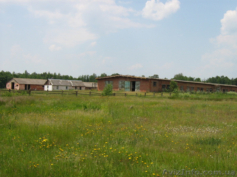 Печка помещение - <ro>Изображение</ro><ru>Изображение</ru> #1, <ru>Объявление</ru> #19251