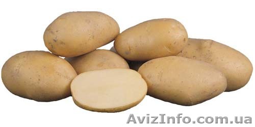 продаю овощи,картофель,морковь,свеклу - <ro>Изображение</ro><ru>Изображение</ru> #1, <ru>Объявление</ru> #52130