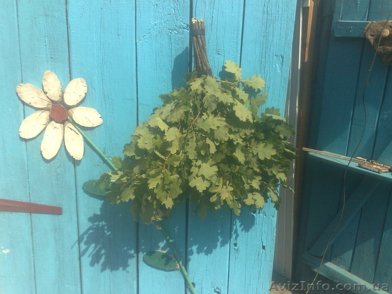 Веники банные дубовые - <ro>Изображение</ro><ru>Изображение</ru> #1, <ru>Объявление</ru> #834015