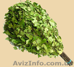 продам банные берёзовые веники - <ro>Изображение</ro><ru>Изображение</ru> #1, <ru>Объявление</ru> #892221