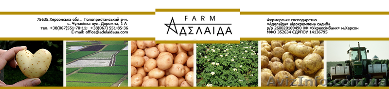 Агроном- овощевод - <ro>Изображение</ro><ru>Изображение</ru> #1, <ru>Объявление</ru> #976524