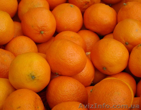 Продам мандарин(грузинский) Житомир. - <ro>Изображение</ro><ru>Изображение</ru> #1, <ru>Объявление</ru> #1006715