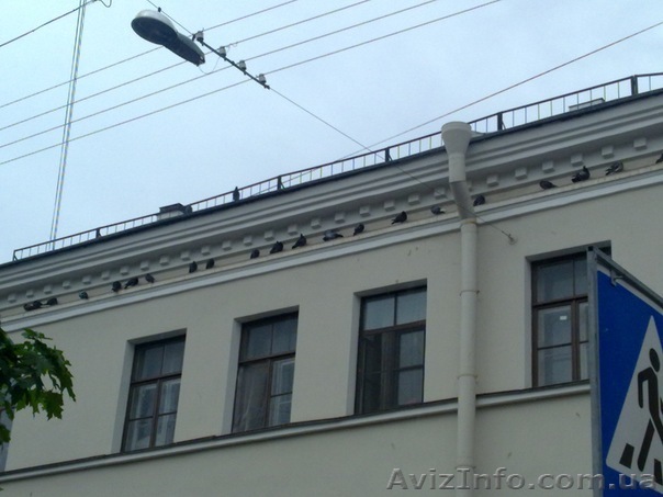 Сдам в аренду офис,с рампой,хороший  - <ro>Изображение</ro><ru>Изображение</ru> #1, <ru>Объявление</ru> #1147753