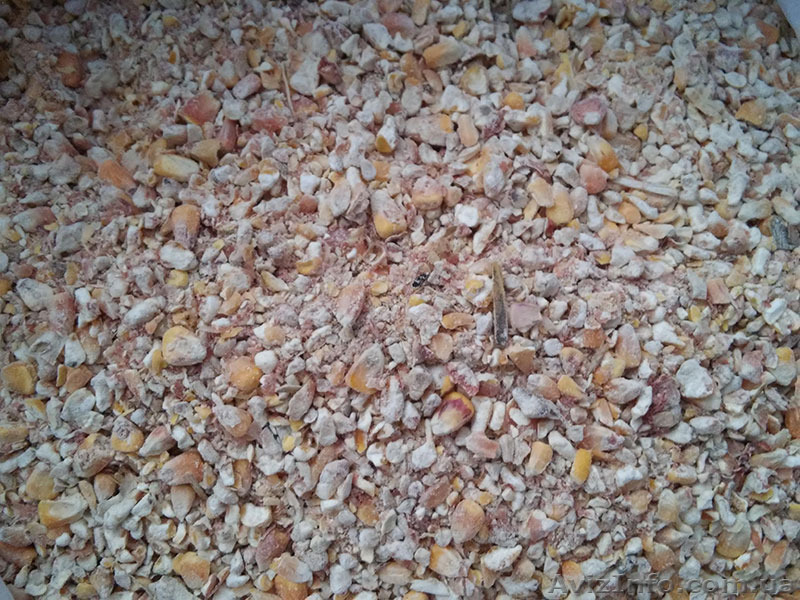 Зерноотходы кукурузы. Доставка по Украине - <ro>Изображение</ro><ru>Изображение</ru> #1, <ru>Объявление</ru> #1415817