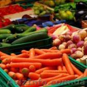 Разнорабочие на сбор и упаковку овощей( Польша) - <ro>Изображение</ro><ru>Изображение</ru> #1, <ru>Объявление</ru> #1453363