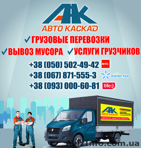 Квартирный переезд в Житомире. Переезд квартиры недорого - <ro>Изображение</ro><ru>Изображение</ru> #1, <ru>Объявление</ru> #1486618