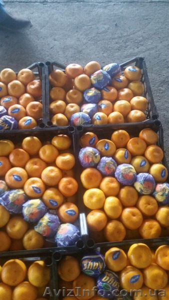 Мандарин продам опт - <ro>Изображение</ro><ru>Изображение</ru> #1, <ru>Объявление</ru> #1507917