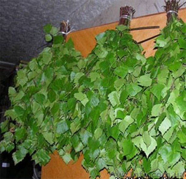 Віники для бані березові - <ro>Изображение</ro><ru>Изображение</ru> #1, <ru>Объявление</ru> #1536749