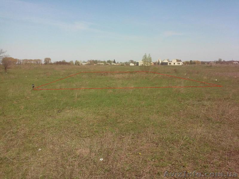 Участок под застройку в пгт. Брусилов - <ro>Изображение</ro><ru>Изображение</ru> #1, <ru>Объявление</ru> #1552447