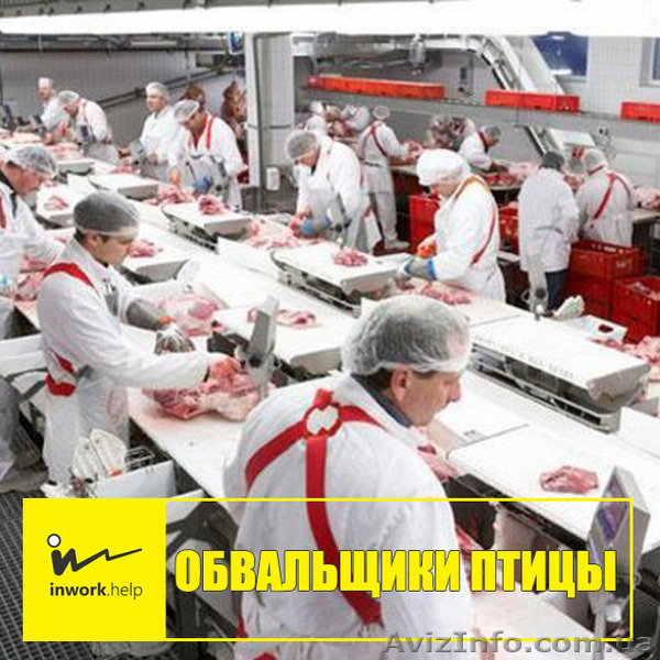 Обвальщики птицы - <ro>Изображение</ro><ru>Изображение</ru> #1, <ru>Объявление</ru> #1579013