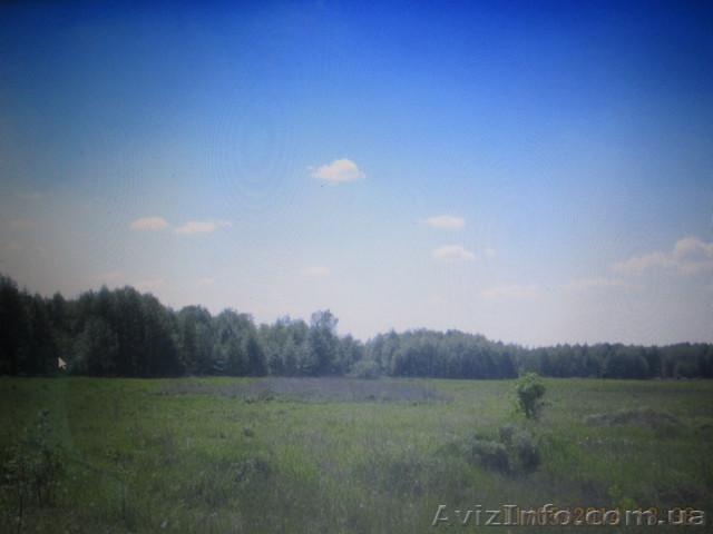 Продам зем. участок ОСГ 6,5 га (75 км. от Киева). Брусилов - <ro>Изображение</ro><ru>Изображение</ru> #1, <ru>Объявление</ru> #1581672
