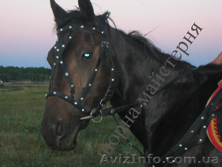 Козацький набір кінний шкіряний - <ro>Изображение</ro><ru>Изображение</ru> #1, <ru>Объявление</ru> #1536763