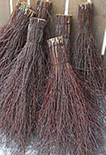 Метла березовая, веники березовые для уборки улиц - <ro>Изображение</ro><ru>Изображение</ru> #1, <ru>Объявление</ru> #1536731