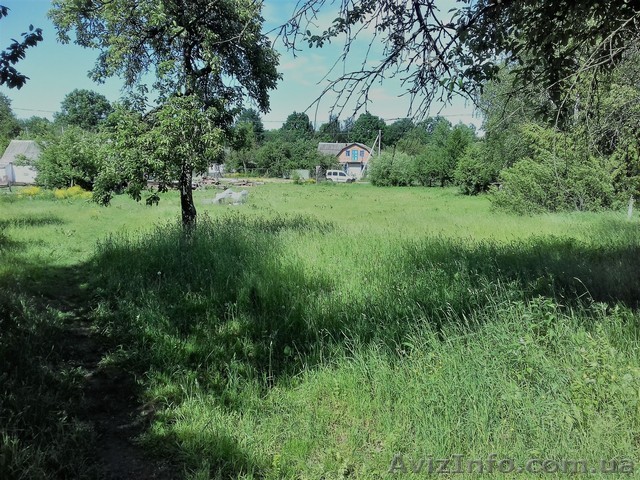 Участок у реки - <ro>Изображение</ro><ru>Изображение</ru> #1, <ru>Объявление</ru> #1611383