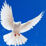 Разработка сайтов, веб разработка, программирование,  дизайн, вёрстка - <ro>Изображение</ro><ru>Изображение</ru> #1, <ru>Объявление</ru> #1686163