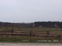 Продаётся дом с участком  земли 40 соток  в Житомирская обл. - <ro>Изображение</ro><ru>Изображение</ru> #4, <ru>Объявление</ru> #44322