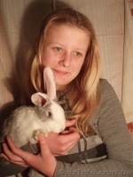 Продам кролі великої та середньої породи - <ro>Изображение</ro><ru>Изображение</ru> #1, <ru>Объявление</ru> #279667