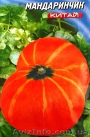 семена тыквы крупноплодной и на кашу - <ro>Изображение</ro><ru>Изображение</ru> #2, <ru>Объявление</ru> #356816