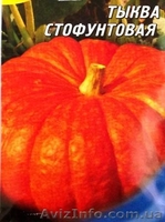 семена тыквы крупноплодной и на кашу - <ro>Изображение</ro><ru>Изображение</ru> #3, <ru>Объявление</ru> #356816