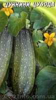 семена кабачков - <ro>Изображение</ro><ru>Изображение</ru> #2, <ru>Объявление</ru> #352653