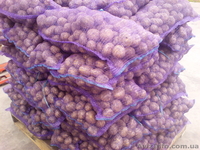 оптом картофель                     - <ro>Изображение</ro><ru>Изображение</ru> #3, <ru>Объявление</ru> #353455