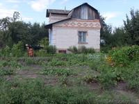 Продам дачу. Тетеревский массив. - <ro>Изображение</ro><ru>Изображение</ru> #5, <ru>Объявление</ru> #353377