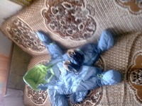 срочно зимний комбенизон - <ro>Изображение</ro><ru>Изображение</ru> #1, <ru>Объявление</ru> #382888