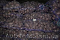 ФОП Гаврилюк Татьяна - <ro>Изображение</ro><ru>Изображение</ru> #1, <ru>Объявление</ru> #408827