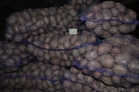 ФОП Гаврилюк Татьяна - <ro>Изображение</ro><ru>Изображение</ru> #2, <ru>Объявление</ru> #408827