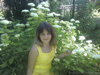 Обьявление для дизайнеров - <ro>Изображение</ro><ru>Изображение</ru> #6, <ru>Объявление</ru> #464114