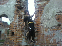 Обьявление для дизайнеров - <ro>Изображение</ro><ru>Изображение</ru> #3, <ru>Объявление</ru> #464114