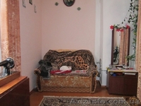 часть дома 2 комнаты, 38м2 земля - <ro>Изображение</ro><ru>Изображение</ru> #1, <ru>Объявление</ru> #556235