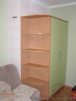 Распашной шкаф под заказ, Житомир. - <ro>Изображение</ro><ru>Изображение</ru> #1, <ru>Объявление</ru> #553835