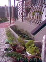 Недорогой отдых в Крыму!!! - <ro>Изображение</ro><ru>Изображение</ru> #2, <ru>Объявление</ru> #560831