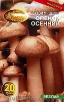 мицелий опят порошковый - <ro>Изображение</ro><ru>Изображение</ru> #3, <ru>Объявление</ru> #718507