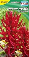 амарант - <ro>Изображение</ro><ru>Изображение</ru> #6, <ru>Объявление</ru> #328369