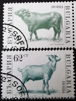 марки Болгарии - фауна - Почтовые марки - <ro>Изображение</ro><ru>Изображение</ru> #3, <ru>Объявление</ru> #993873