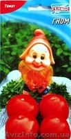 Семена низкорослых томатов - <ro>Изображение</ro><ru>Изображение</ru> #5, <ru>Объявление</ru> #356443