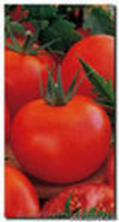 Семена низкорослых томатов - <ro>Изображение</ro><ru>Изображение</ru> #1, <ru>Объявление</ru> #356443