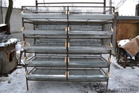 Клетки перепелиные. - <ro>Изображение</ro><ru>Изображение</ru> #1, <ru>Объявление</ru> #1030647