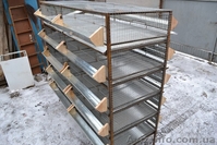 Клетки перепелиные. - <ro>Изображение</ro><ru>Изображение</ru> #2, <ru>Объявление</ru> #1030647