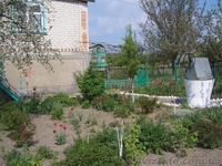 дом возле Житомира - <ro>Изображение</ro><ru>Изображение</ru> #4, <ru>Объявление</ru> #1087368