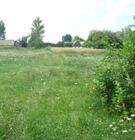 Участок Черняхов - <ro>Изображение</ro><ru>Изображение</ru> #3, <ru>Объявление</ru> #1107769