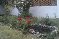 Азов. Генгорка. Отличный отдых от 40 грн. - <ro>Изображение</ro><ru>Изображение</ru> #1, <ru>Объявление</ru> #1126239