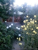 Азов. Генгорка. Отличный отдых от 40 грн. - <ro>Изображение</ro><ru>Изображение</ru> #8, <ru>Объявление</ru> #1126239