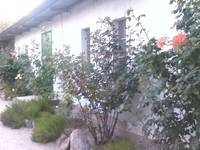 Азов. Генгорка. Отличный отдых от 40 грн. - <ro>Изображение</ro><ru>Изображение</ru> #6, <ru>Объявление</ru> #1126239