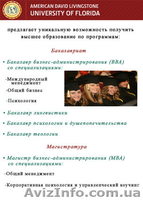 Обучение за границей (США, штат Флорида) - <ro>Изображение</ro><ru>Изображение</ru> #2, <ru>Объявление</ru> #1179359
