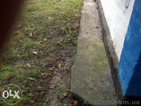 Дом 100 кв.м. с участком 20соток 85 км от Киева ,расстояние до Житомира70 - <ro>Изображение</ro><ru>Изображение</ru> #10, <ru>Объявление</ru> #1214950