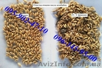 Продам аэродинамический сепаратор для чистки/ калибровки зерна ИСМ-10 - <ro>Изображение</ro><ru>Изображение</ru> #7, <ru>Объявление</ru> #1231007