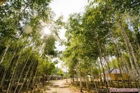 База отдыха «Добростан»: аренда беседок в Житомире - <ro>Изображение</ro><ru>Изображение</ru> #2, <ru>Объявление</ru> #1442935